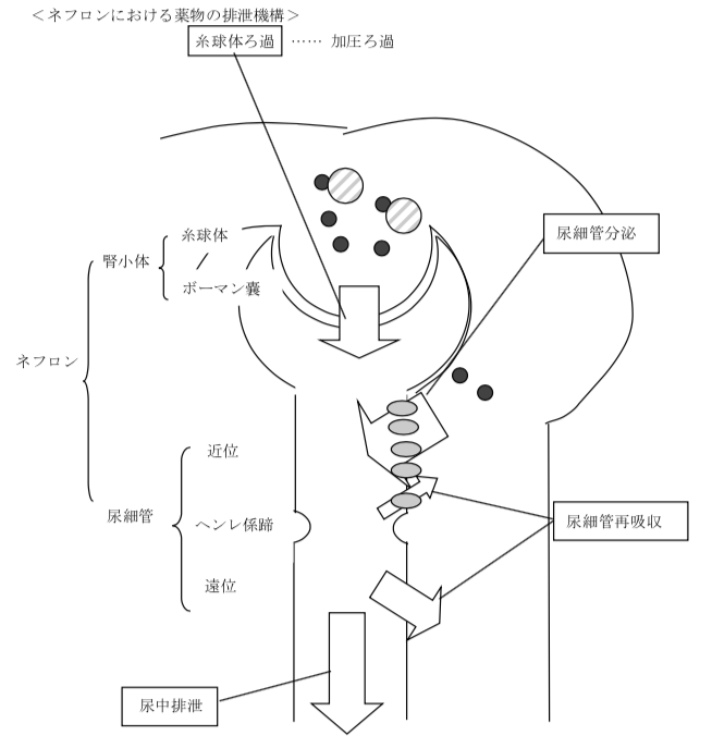 解説画像